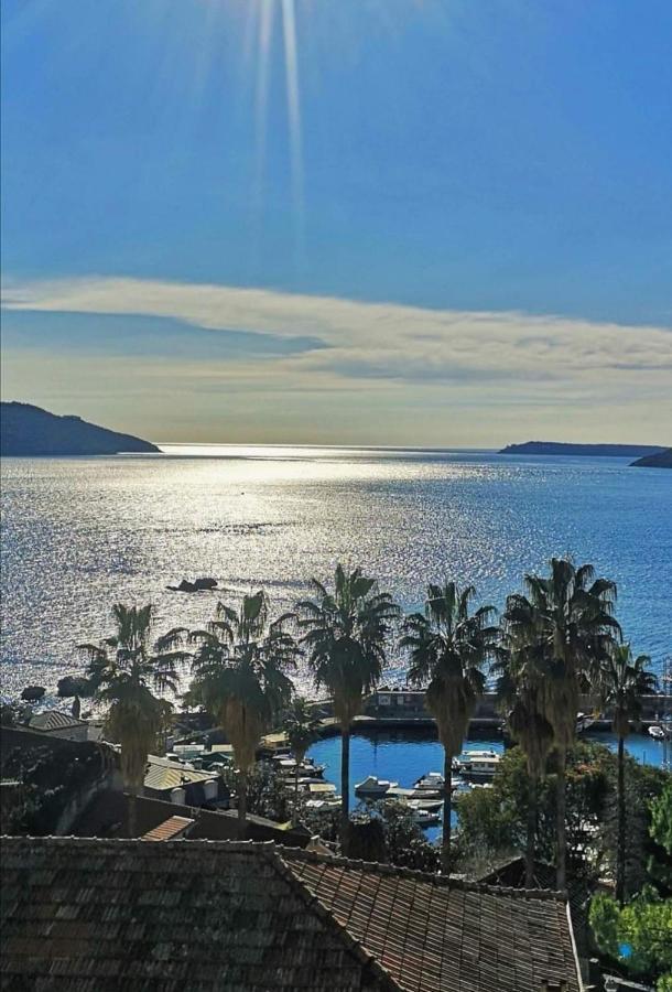 Apartments Dikan Herceg Novi Extérieur photo
